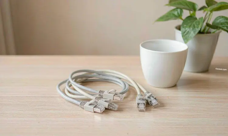 浅色木桌上盘放着的几根成品网线、一只白瓷杯和一盆小绿植
